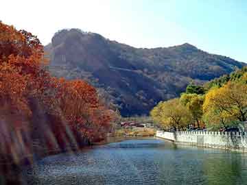 管家婆黑白马报图库，都市之龙傲天下